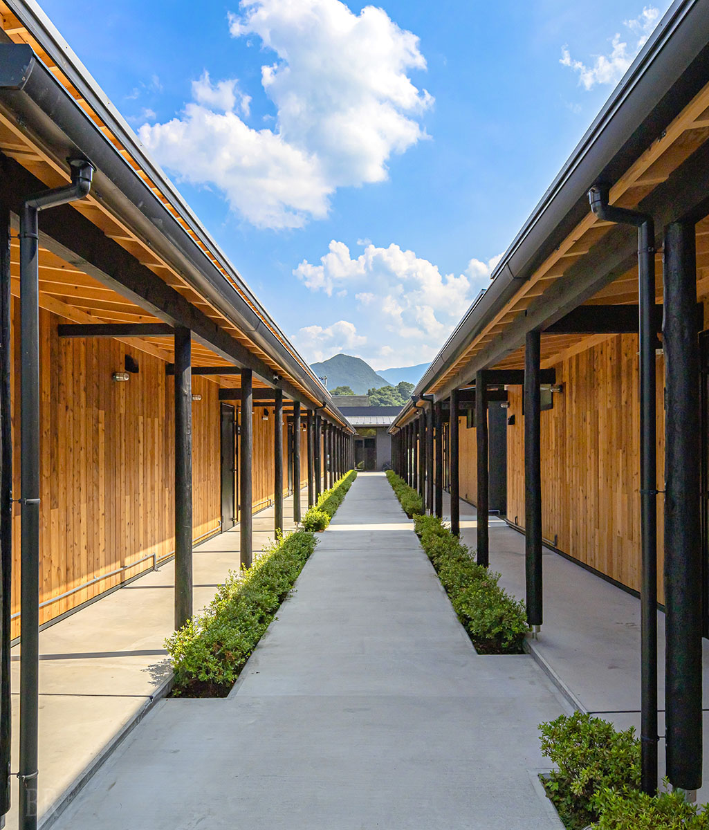 秩父別邸木叢の外の通路