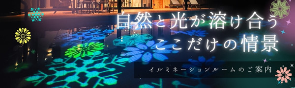 イルミネーションルームのご案内